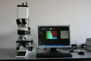 Mikroskop mit Hyperspektralkamera